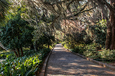 maclay gardens park in tallahassee, florida